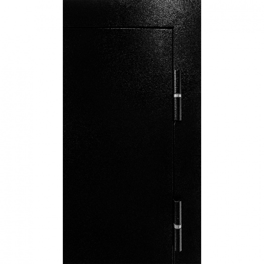 Входная дверь Термаль Норд Ясень белый