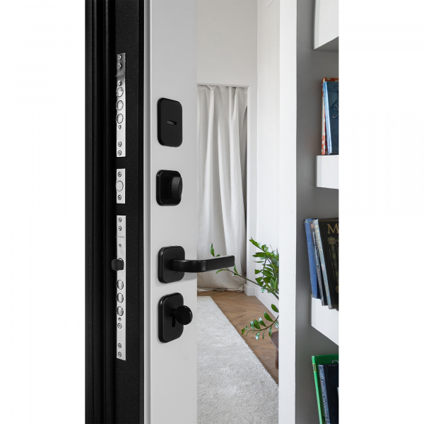 Входная дверь Палермо 2 Зеркало Ясень белый софт