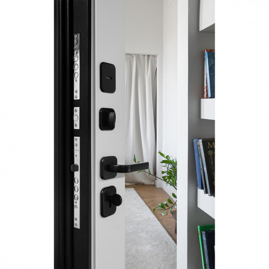 Входная дверь Палермо 2 Зеркало Ясень белый софт