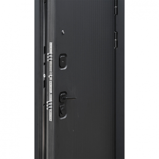 Входная дверь Спарта Графит софт