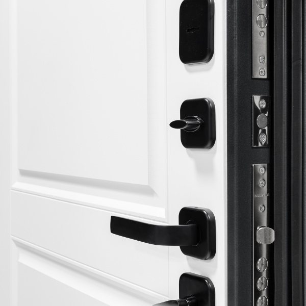 Входная дверь Анкона