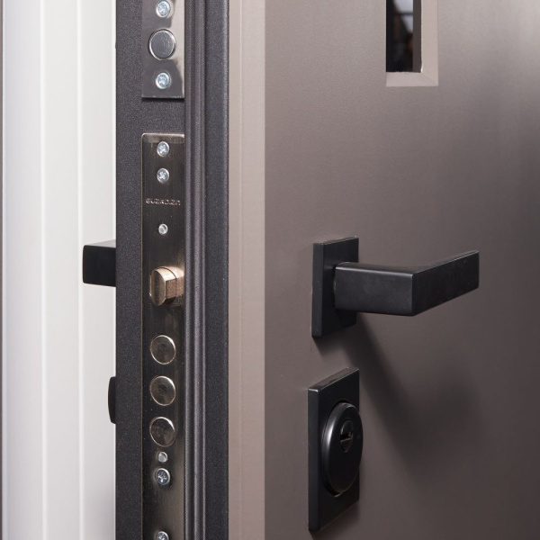 Входная дверь COPTER