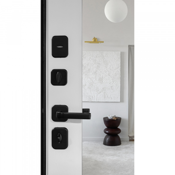 Входная дверь Палермо 2 Зеркало Ясень белый софт