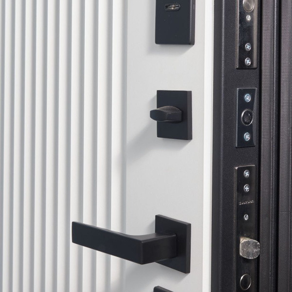 Входная дверь CONSUL