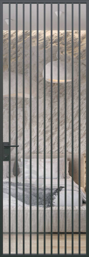 Модель 19 (прозрачные)