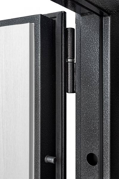 Входная дверь Рубикон Дизайн Антик серебро