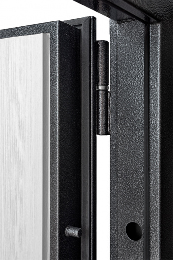 Входная дверь Рубикон Дизайн Антик серебро