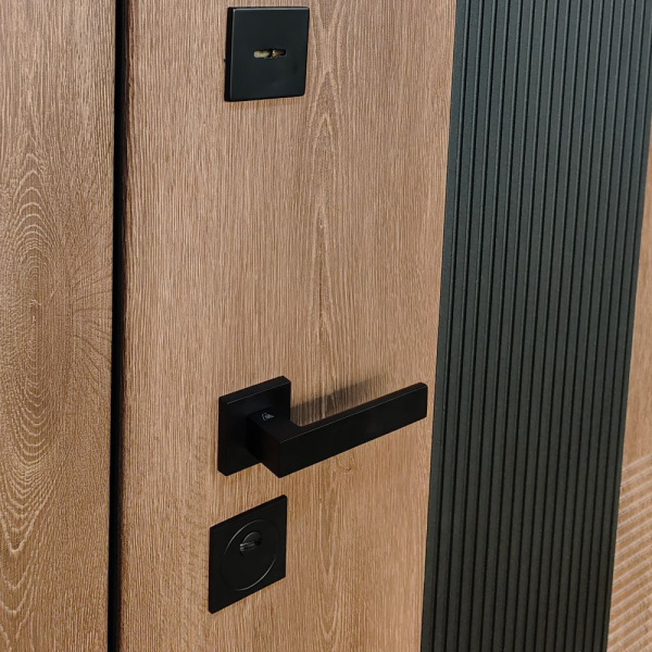 Входная дверь CORTO