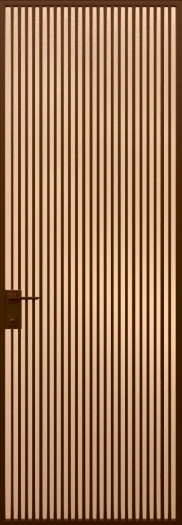 Модель 21 (мат брон)