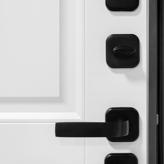 Входная дверь Анкона