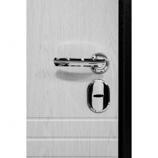 Входная дверь Термаль Норд Ясень белый