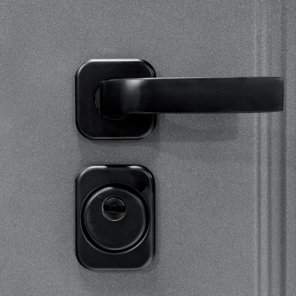 Входная дверь Анкона