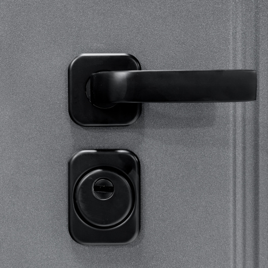 Входная дверь Анкона