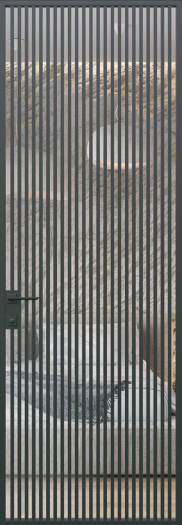 Модель 21 (прозрачное)