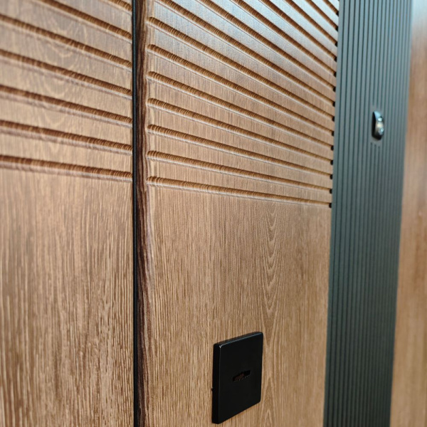 Входная дверь CORTO