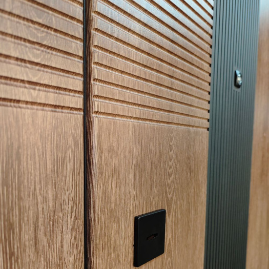 Входная дверь CORTO