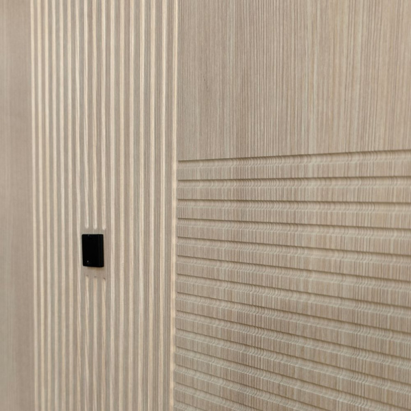 Входная дверь CORTO