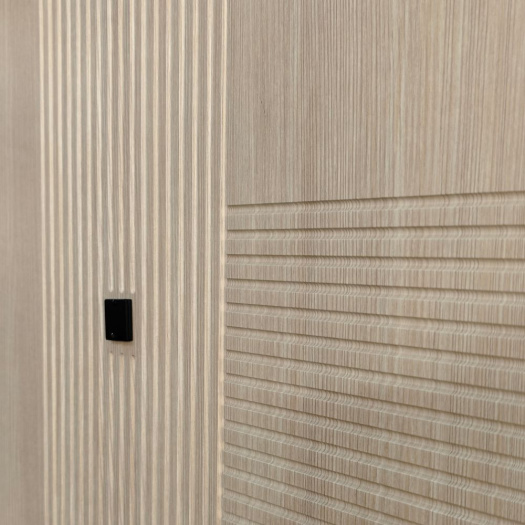 Входная дверь CORTO